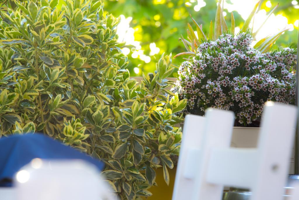 Casa Martini Bed & Breakfast Rome Exterior photo